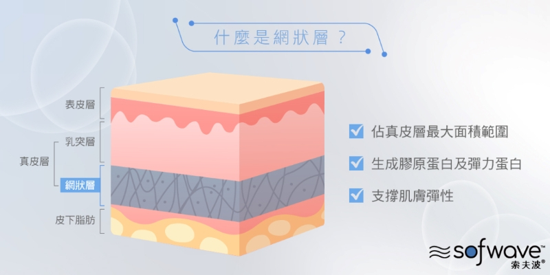 索夫波將能量精準輸出至皮下的網狀層