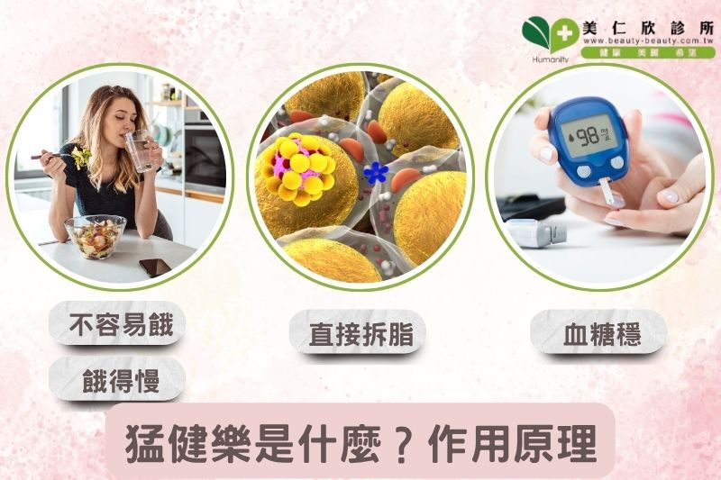 猛健樂的減重原理